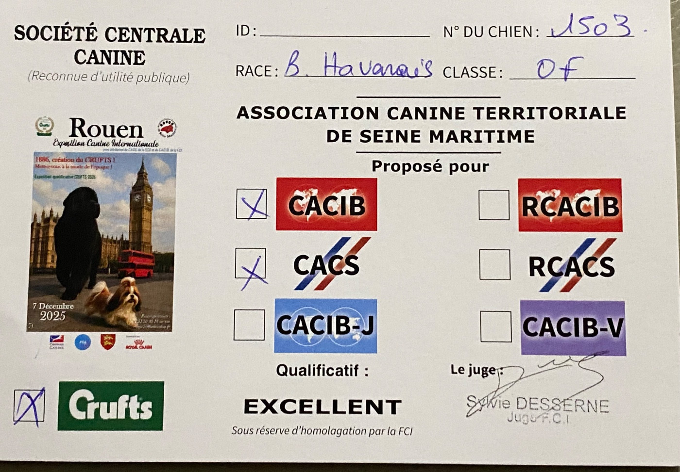 Exposition Rouen décembre 2025