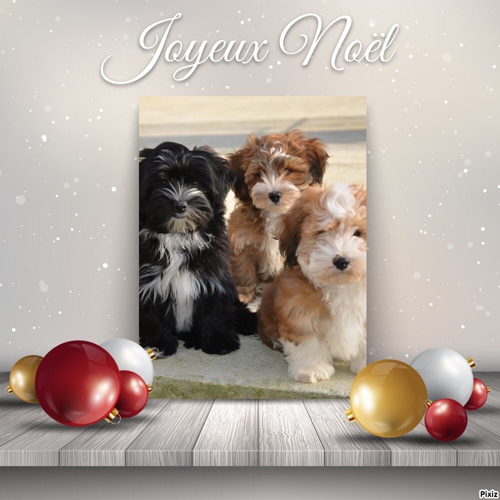 Las Joyas Del Sol - Joyeux Noël