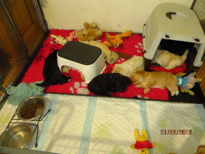 Las Joyas Del Sol - petite sieste